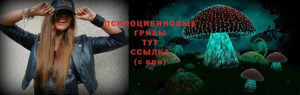 a pvp Зеленокумск