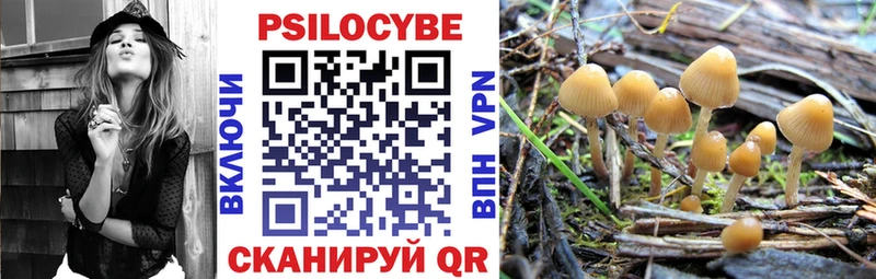 Купить  Задонск  Псилоцибиновые грибы Cubensis 